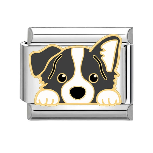 Charm™ Border Collie Fiel