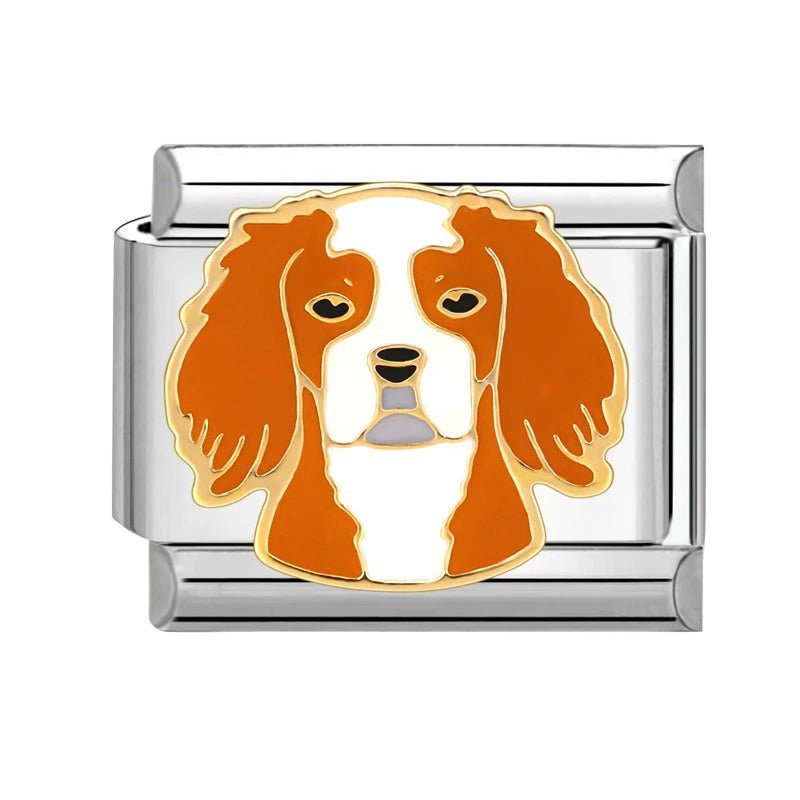 charm™ cavalier elegante